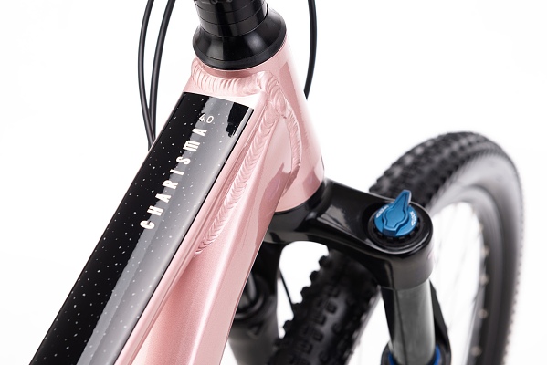 ctm-charisma-4-0-29-staroruzova-2026-d4